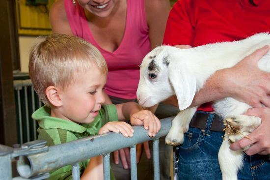 Kanada Tarım ve Gıda Müzesi